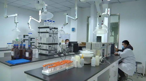 優化營商環境與服務質量 何平調研市公共資源交易中心與公共檢測中心